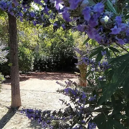 Appartement Le Cabanon D'olivier