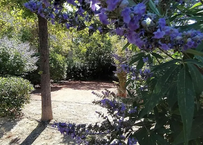 Apartamento Le Cabanon D'olivier